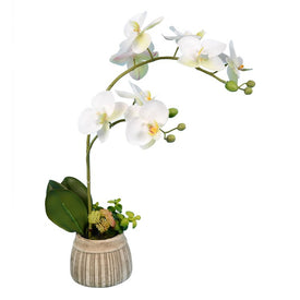 18" Artificial White Orchid in Ceramic Pot