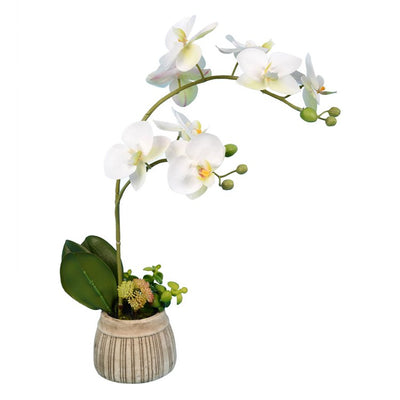 Product Image: FC180501 Decor/Faux Florals/Floral Arrangements