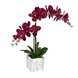 25" Artificial Potted Real Touch Dark Purple Phalaenopsis Spray