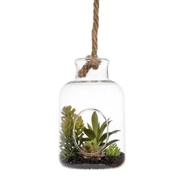 9" Artificial Green Assorted Succulents in Glass Jar