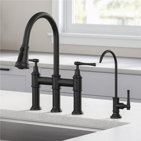 Allyn Bridge Kitchen Faucet and Water Filter Faucet Combo