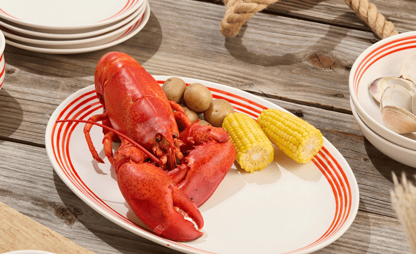 Explore New Outdoor Serveware
