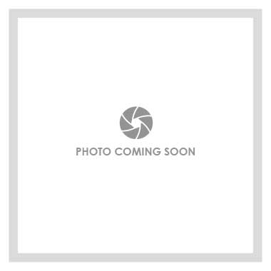 Product Image: EC-CYP65GLC Holiday/Christmas/Christmas Trees