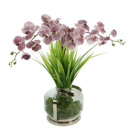 31" Artificial Violet Orchids and River Grass in Glass Vase with Moss