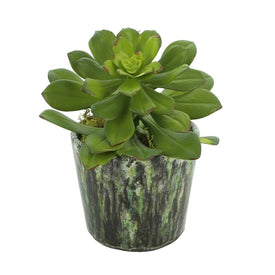 8" Artificial Echeveria Succulent in Multi-Colored Ceramic Pot