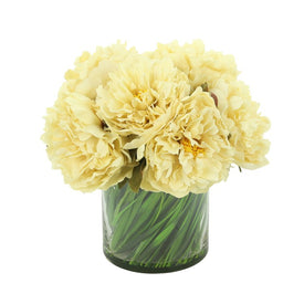 12" Artificial Cream Peonies in Glass Vase with Grass and Acrylic Water