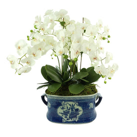 32" Artificial White Orchids in Blue Ceramic Planter with Handles