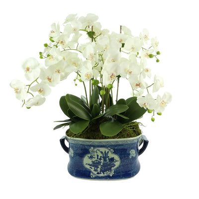 Product Image: CDFL6534 Decor/Faux Florals/Floral Arrangements