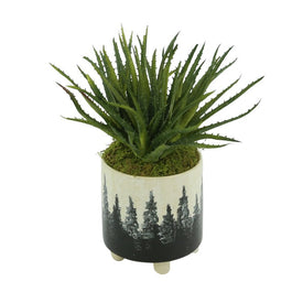 12" Artificial Soft Aloe with Moss in Ceramic Footed Pot