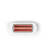 1016126 Kitchen/Small Appliances/Toaster Ovens