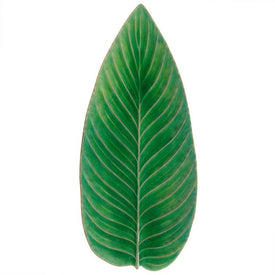 Riviera 16" Strelitzia Leaf