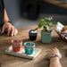 LSC061-TRQ-S6 Dining & Entertaining/Drinkware/Coffee & Tea Mugs