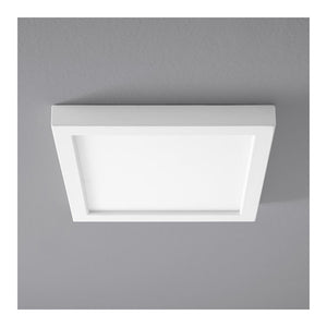 3-334-6 Lighting/Ceiling Lights/Flush & Semi-Flush Lights
