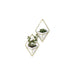 470753-524 Decor/Wall Art & Decor/Wall Accents