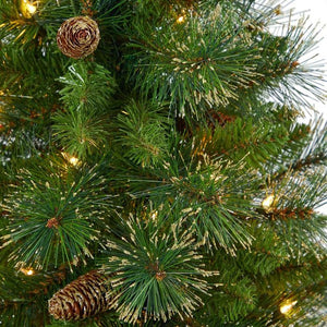 T2293 Holiday/Christmas/Christmas Trees