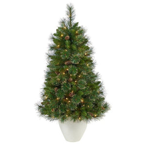 T2293 Holiday/Christmas/Christmas Trees