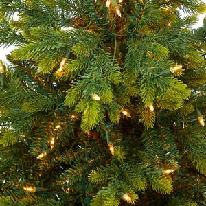 T2324 Holiday/Christmas/Christmas Trees