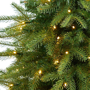 T2262 Holiday/Christmas/Christmas Trees