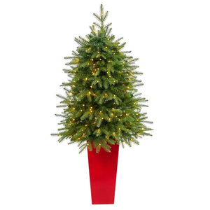 T2262 Holiday/Christmas/Christmas Trees
