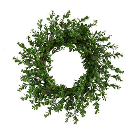 20" Boxwood Artificial Wreath