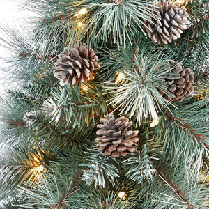T2274-WH Holiday/Christmas/Christmas Trees