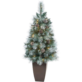 3.5' Pre-Lit Artificial Frosted Tip British Columbia Mountain Pine Christmas Tree with 50 Clear Lights, Pine Cones in Metal Planter