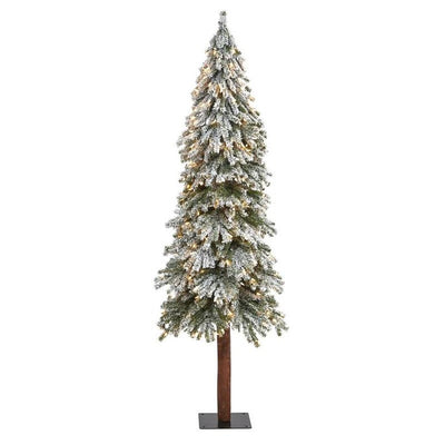 Product Image: T1953 Holiday/Christmas/Christmas Trees