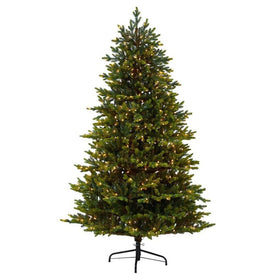 7' Pre-Lit Artificial North Carolina Fir Christmas Tree with 550 Clear Lights