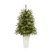 T2247-WH Holiday/Christmas/Christmas Trees