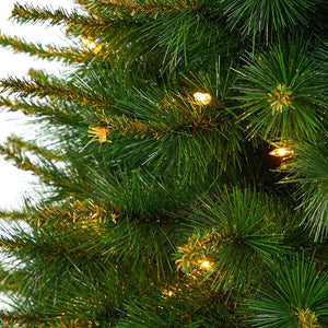 T2295 Holiday/Christmas/Christmas Trees