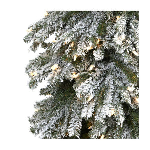 T1955 Holiday/Christmas/Christmas Trees