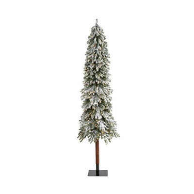 Product Image: T1955 Holiday/Christmas/Christmas Trees