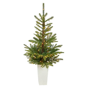 T2297 Holiday/Christmas/Christmas Trees