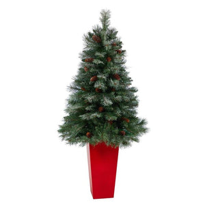 T2266 Holiday/Christmas/Christmas Trees
