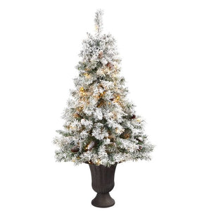 T2267 Holiday/Christmas/Christmas Trees