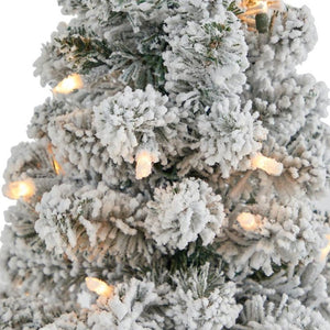 T2329 Holiday/Christmas/Christmas Trees