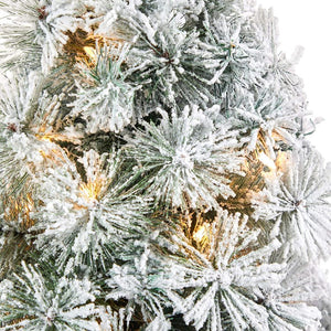 T2422 Holiday/Christmas/Christmas Trees