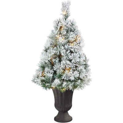 Product Image: T2422 Holiday/Christmas/Christmas Trees