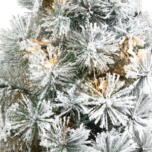 T2423 Holiday/Christmas/Christmas Trees
