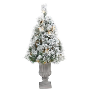T2423 Holiday/Christmas/Christmas Trees