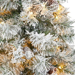 T2268 Holiday/Christmas/Christmas Trees