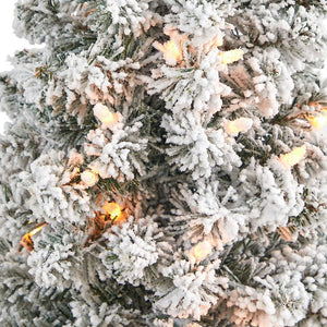 T2330 Holiday/Christmas/Christmas Trees