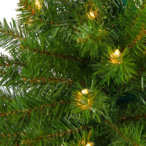 T2270 Holiday/Christmas/Christmas Trees
