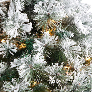 T2426 Holiday/Christmas/Christmas Trees