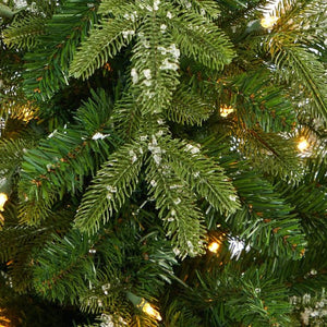 T2247-RD Holiday/Christmas/Christmas Trees