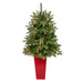 T2247-RD Holiday/Christmas/Christmas Trees