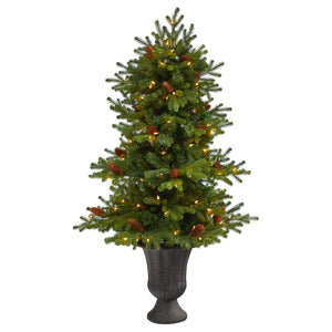 T2428 Holiday/Christmas/Christmas Trees
