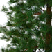 T1933 Holiday/Christmas/Christmas Trees