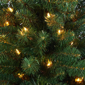 T2336 Holiday/Christmas/Christmas Trees
