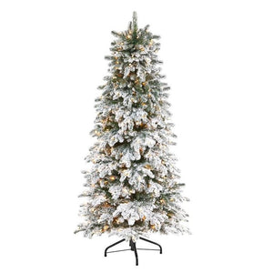 T1872 Holiday/Christmas/Christmas Trees